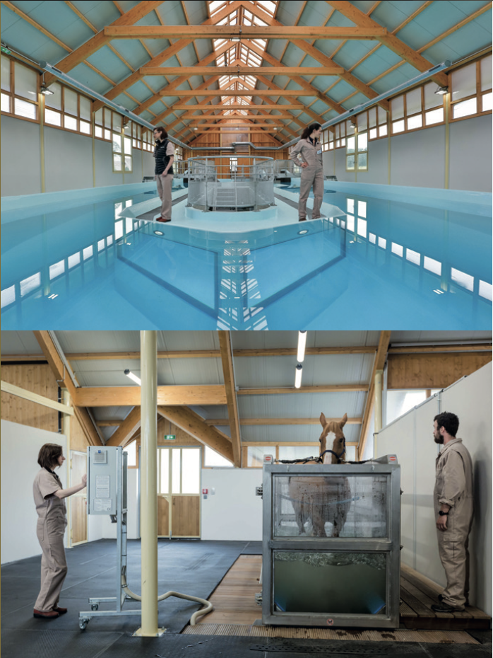 Pack 1 - Clinique équine (photos)