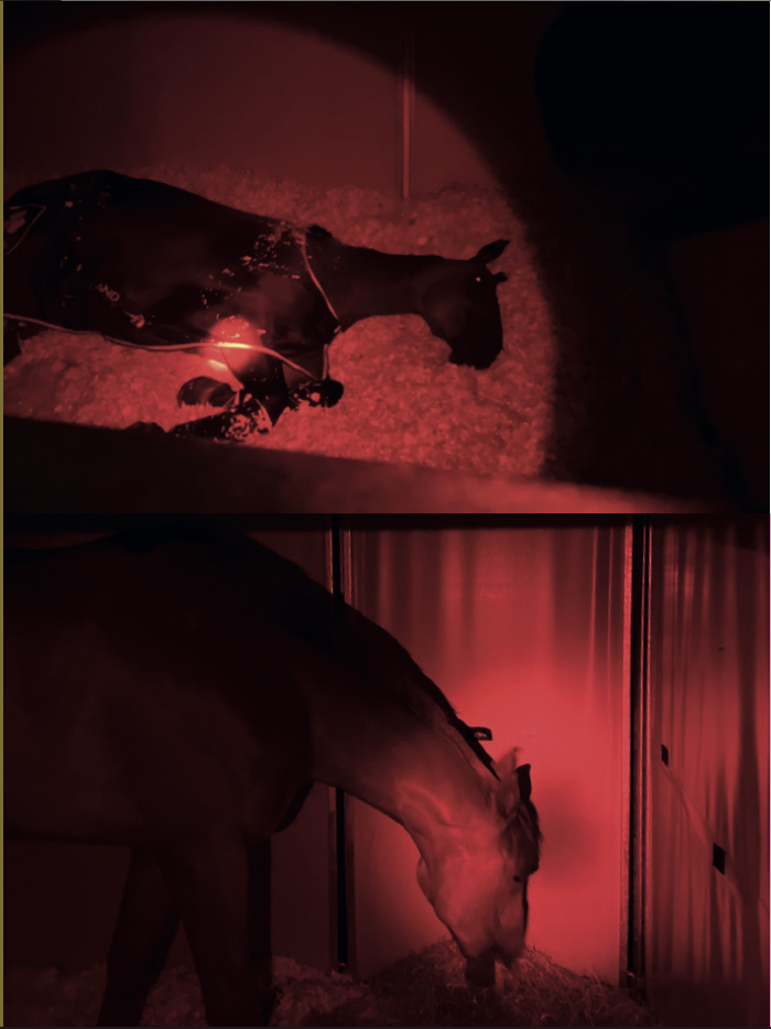 Pack 2 - Mobilité (photos)