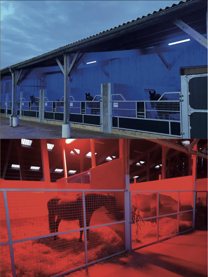 Pack 3 - Élevage (photos)