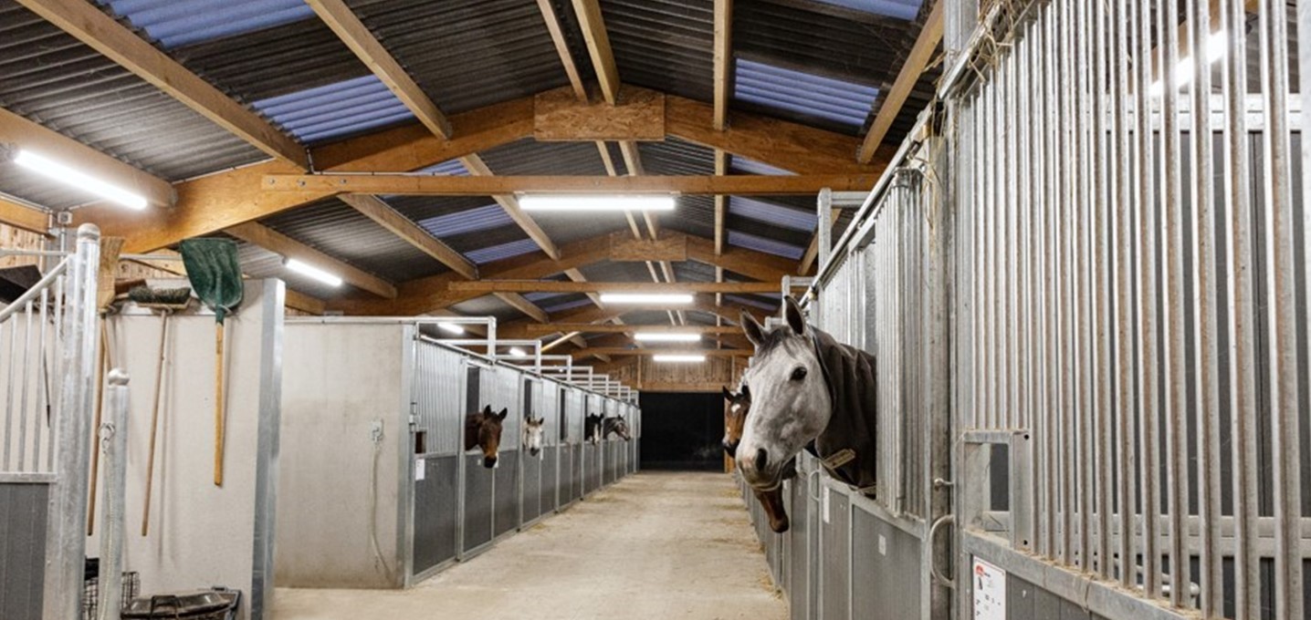 Rose des Vents equestrian farm: equine LED lighting by PROXIMAL