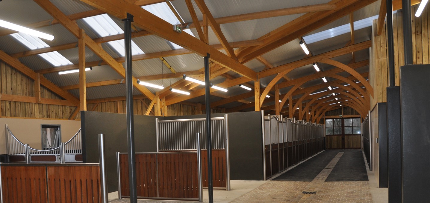 Semilly stud: equine LED lighting by PROXIMAL