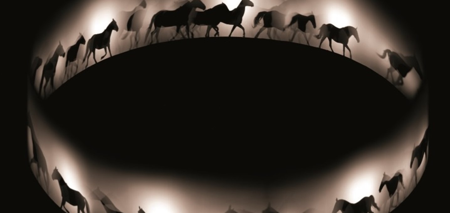 Zingaro equestrian theater: equine LED lighting by PROXIMAL