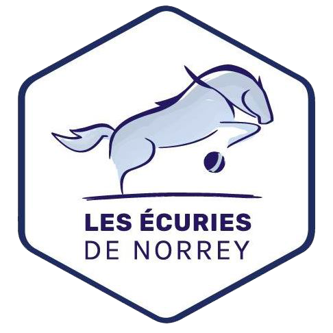 logo Norrey