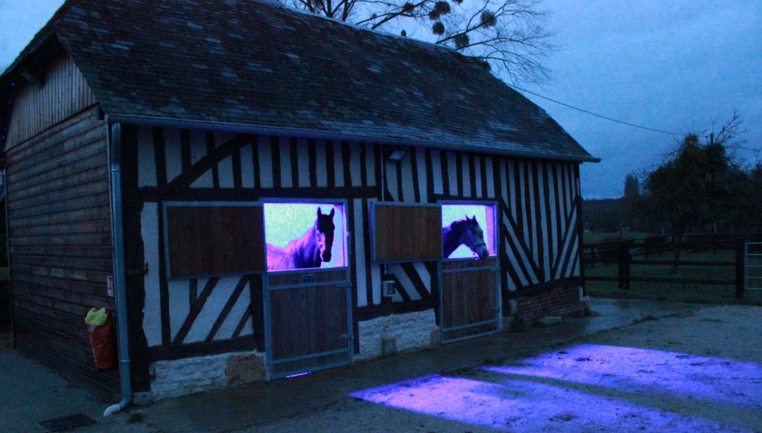 Eclairage des juments poulinières - Haras du Lieu Fergant