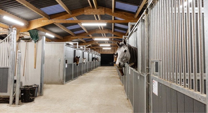 Rose des Vents: stables and outdoor arena lighting