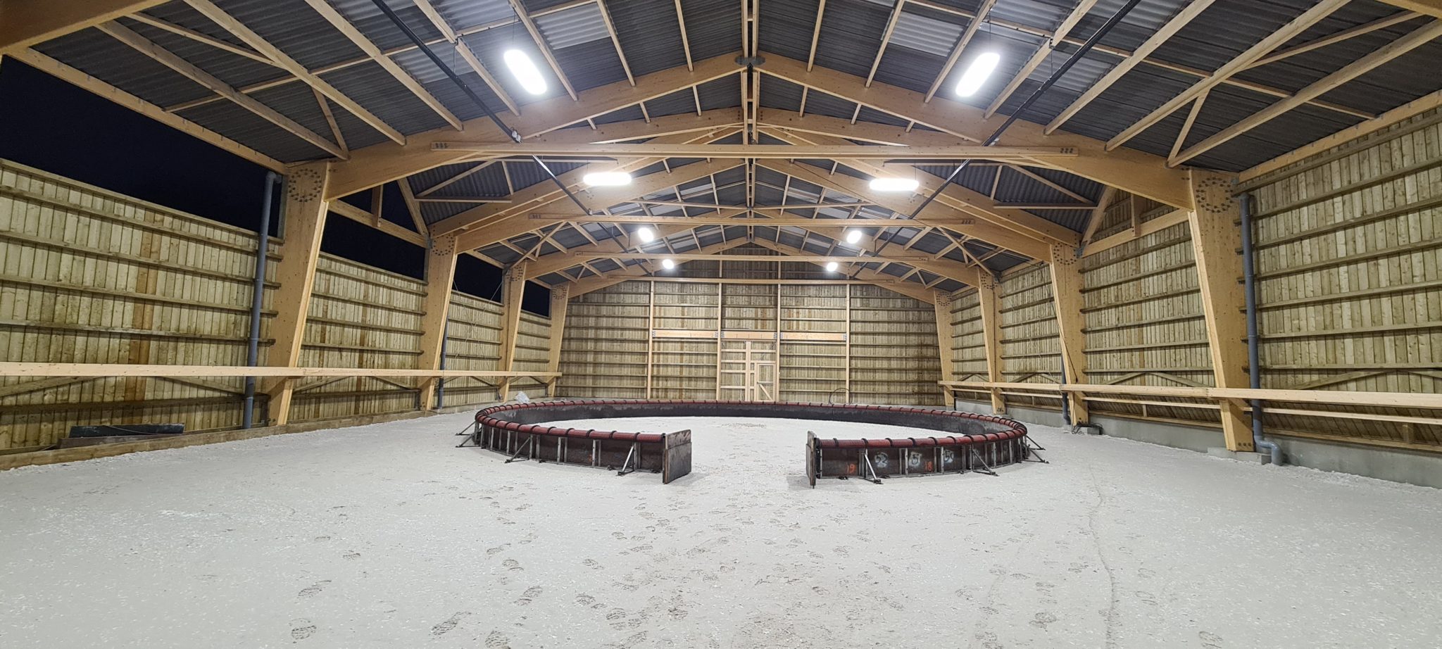 Théâtre équestre Zingaro éclairage carrière couverte Proximal — free download