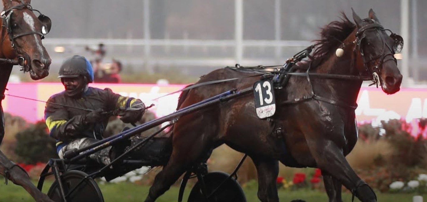 Hokkaido Jiel, winner of the 2026 Prix d'Amérique Legend Race - Box lighted by PROXIMAL